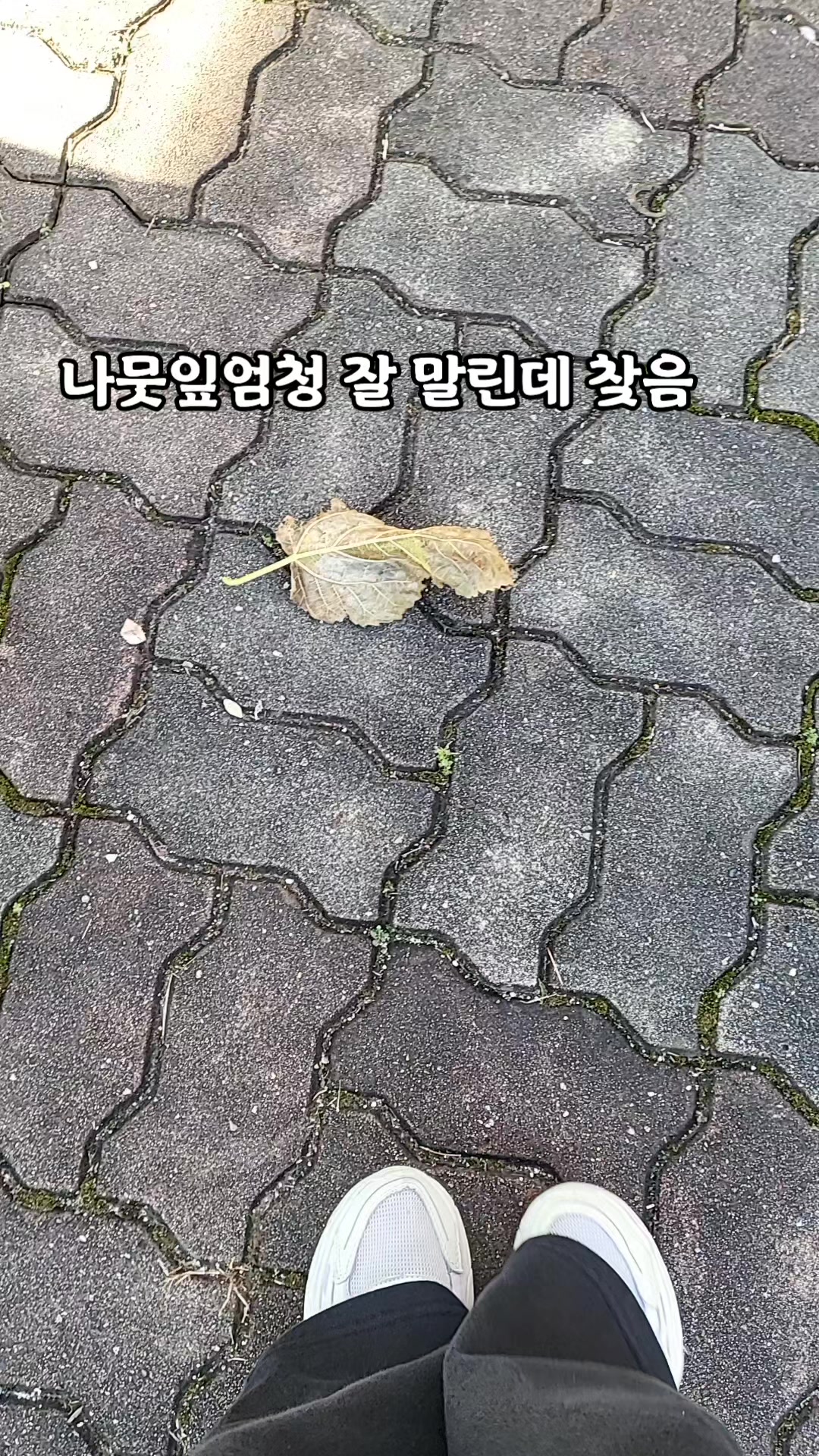 @서우