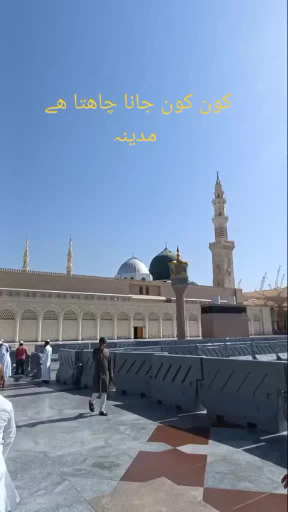 @moazam ali 4691