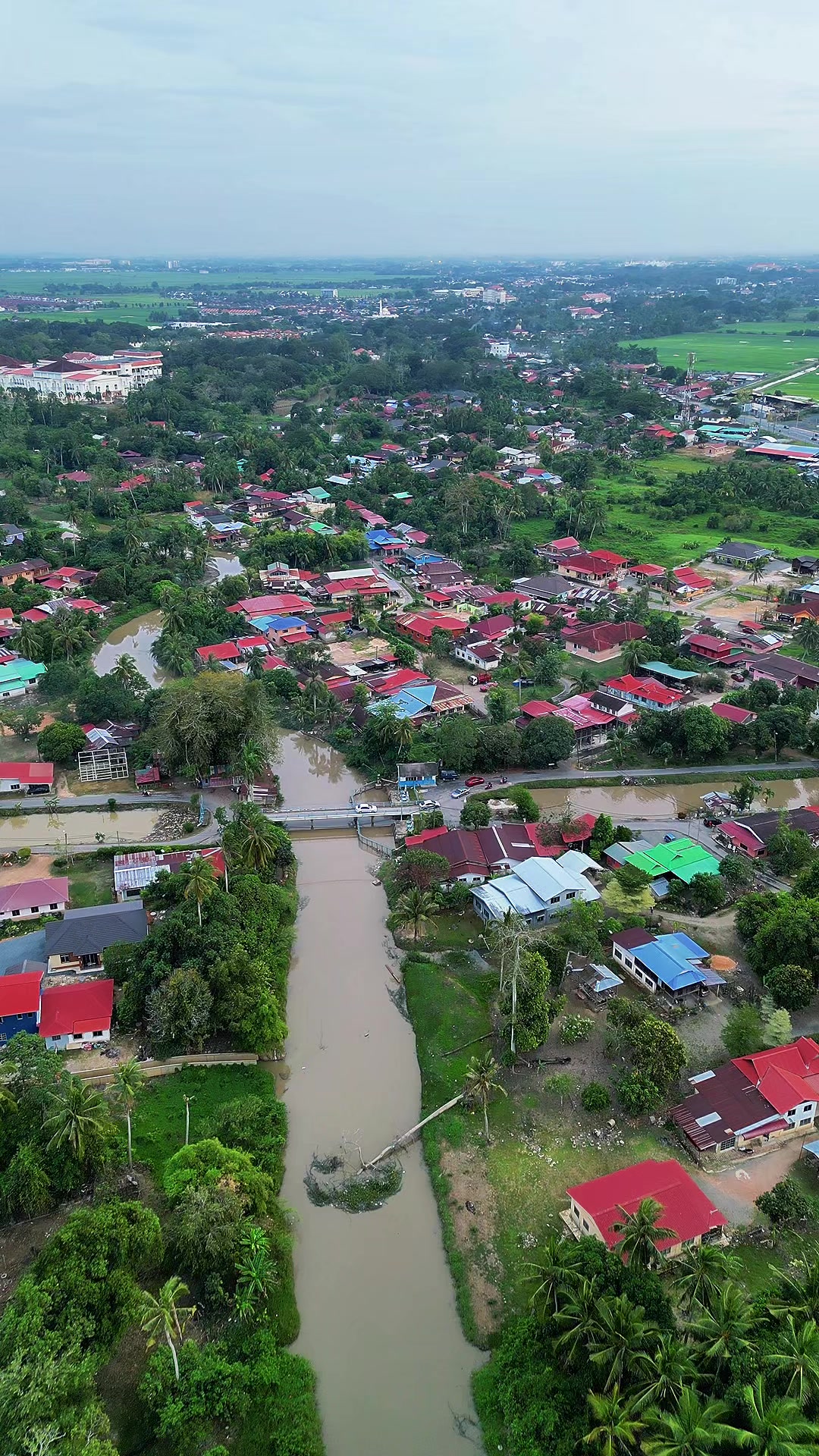 @cucutokbaq