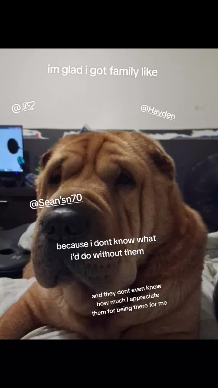 @JokerJoeEditz