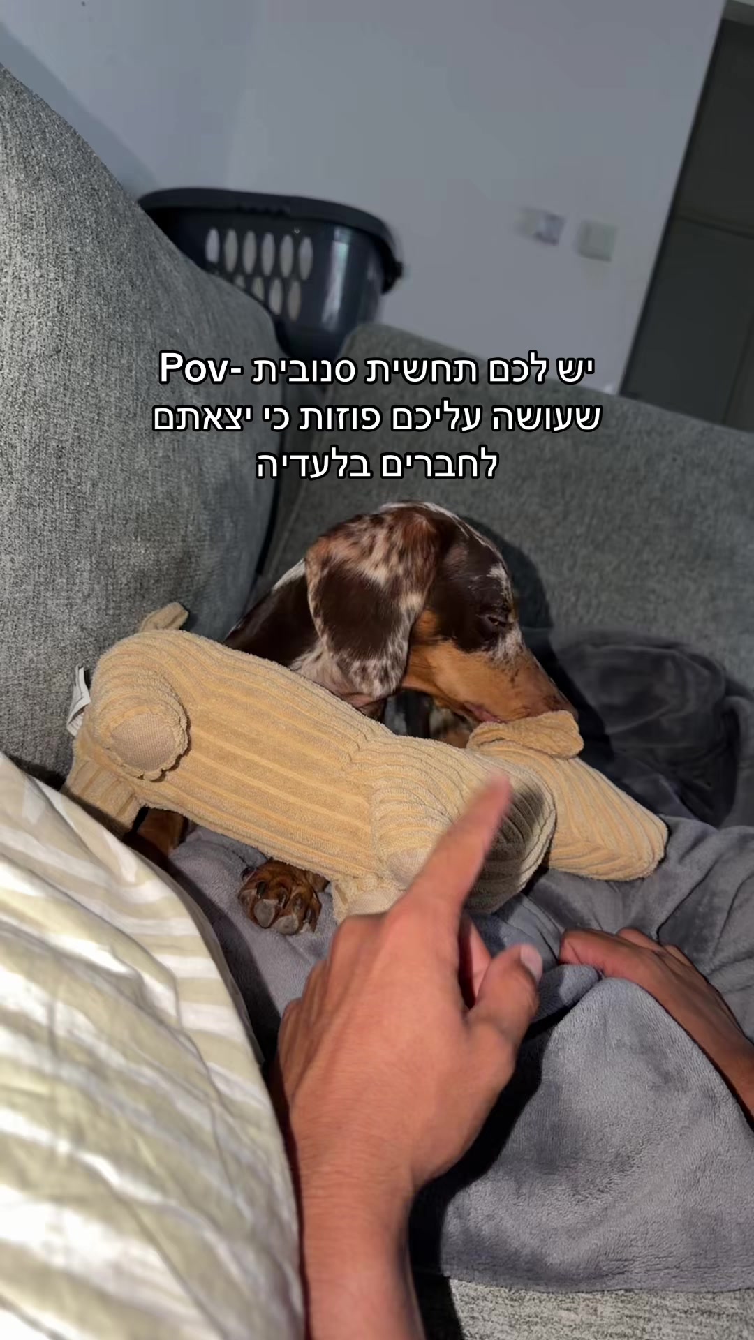 @אופירי🍸