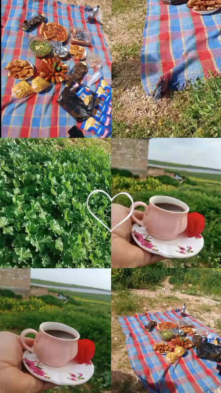 @ياسمين شام