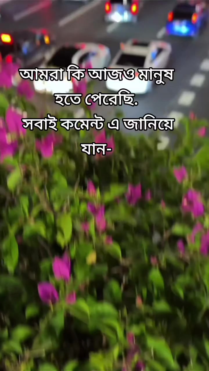 @মাশরাফি রাজিব