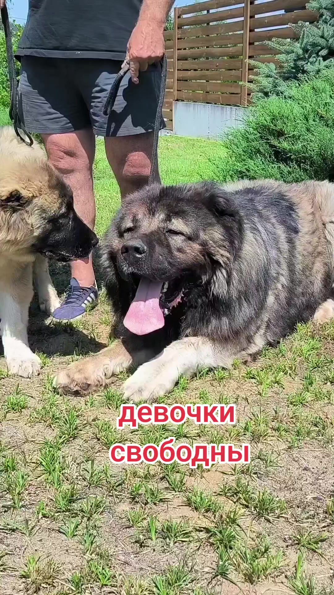 @Петровна