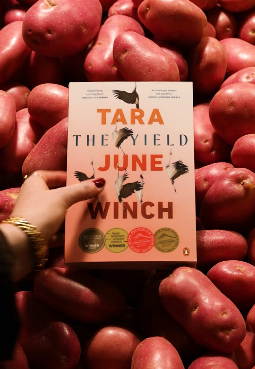 @Penguin Books Aus