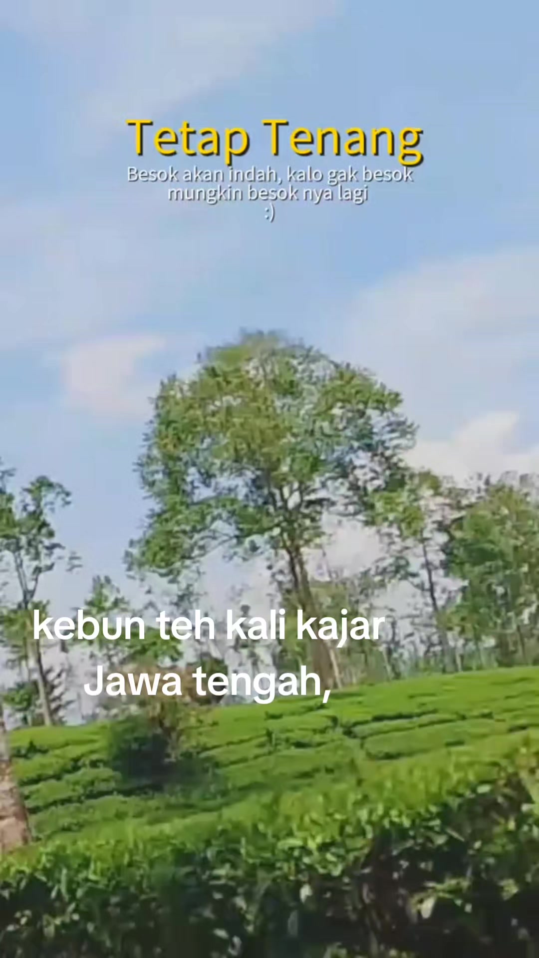 @RIK SAND PULDA🌿