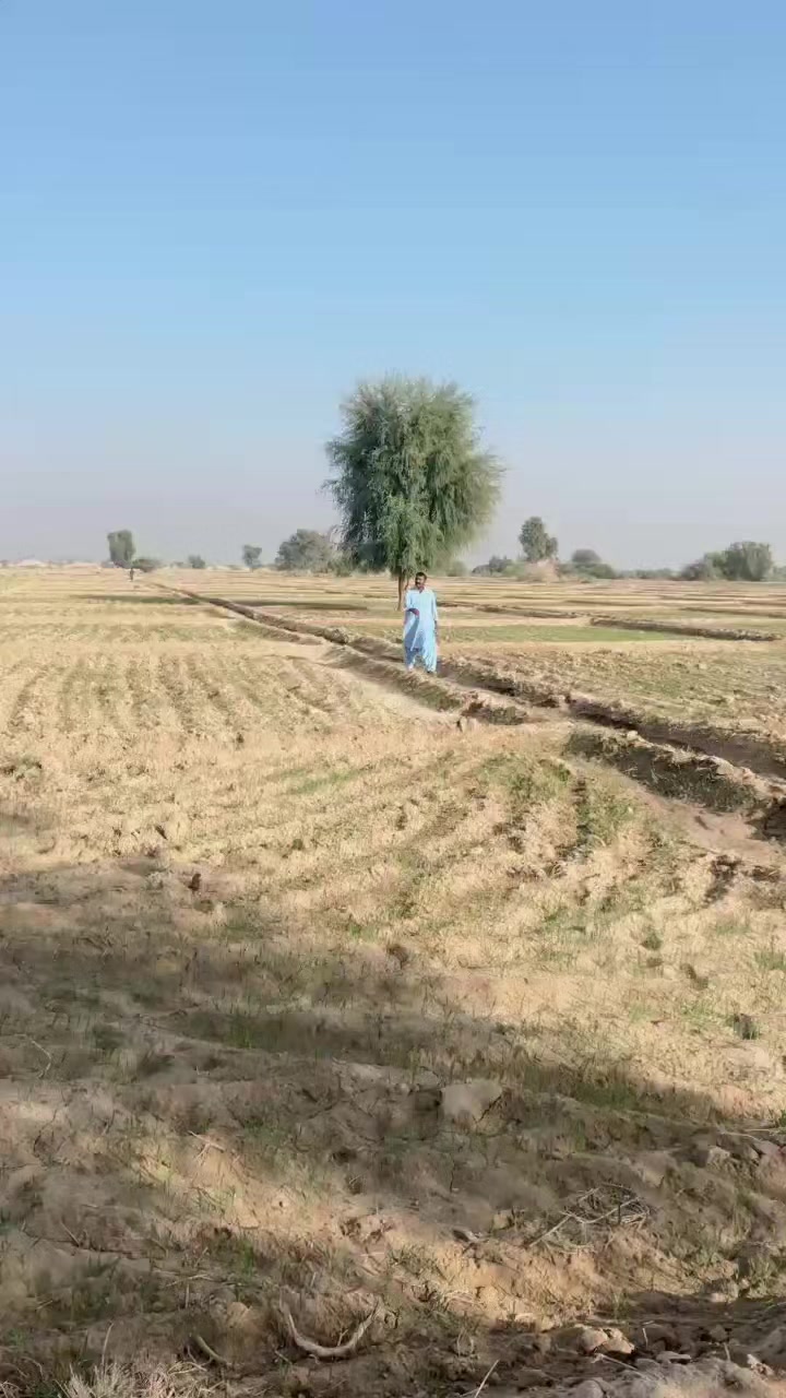 @⚜️رقیب چانڈیو⚜️