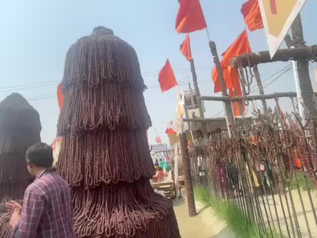@9tiyal  🇳🇿 🇮🇳