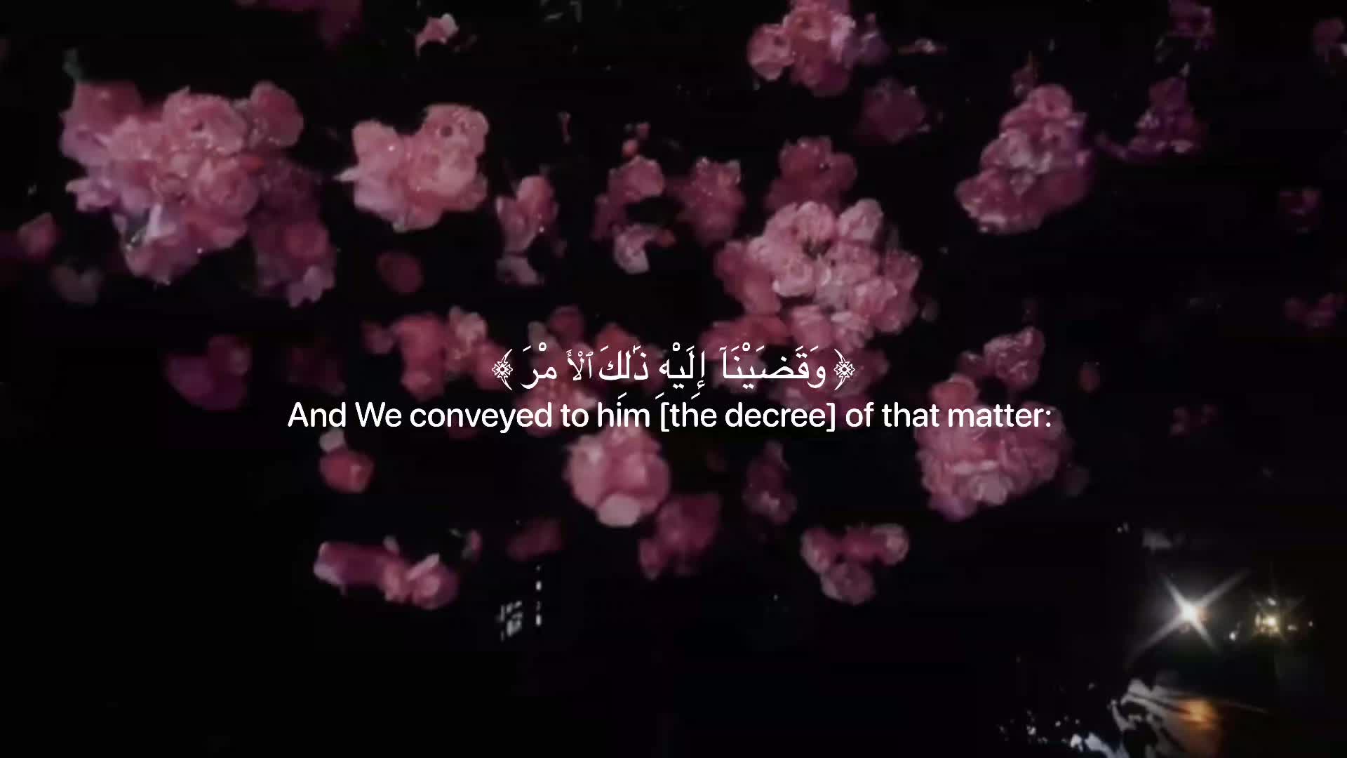@Quran | ليلى