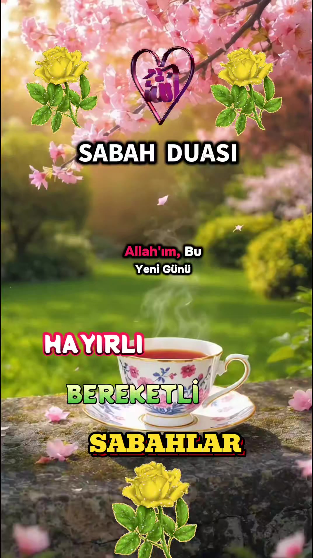 @@hayatsevinceguzel5537