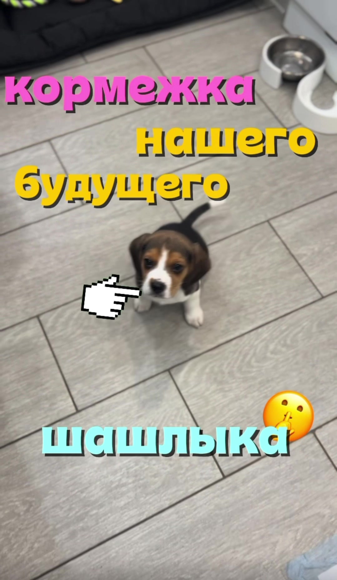 @𐔤ɯᥲᥴⲧыύ ⲙᥲρ᥈υ🥏