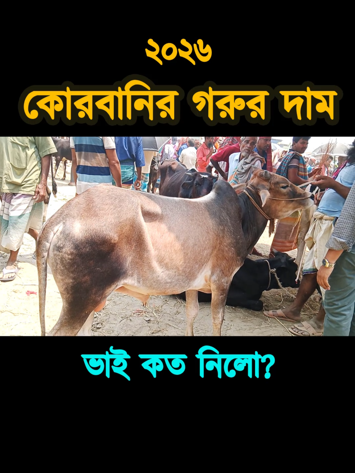 @Nayeem Islam