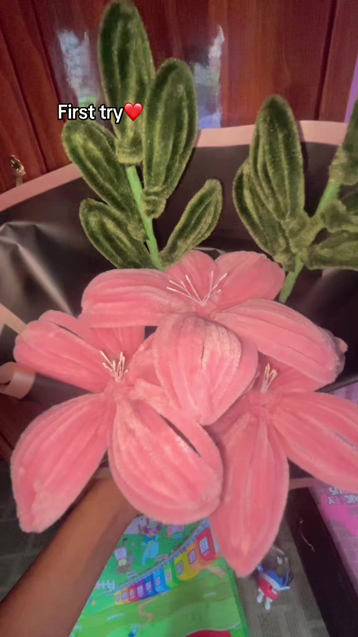 @Ayushu🤪