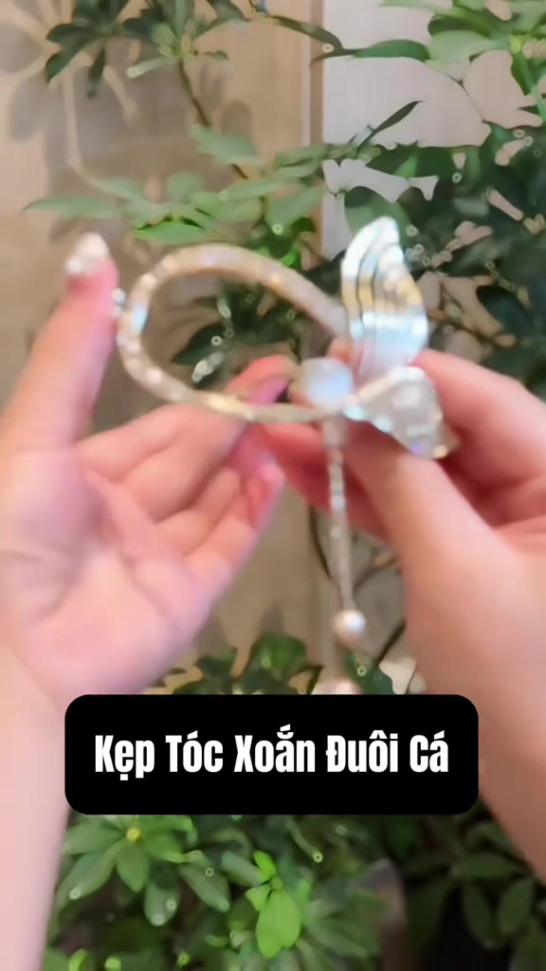 @Tuyết Lạc Sơn Trang