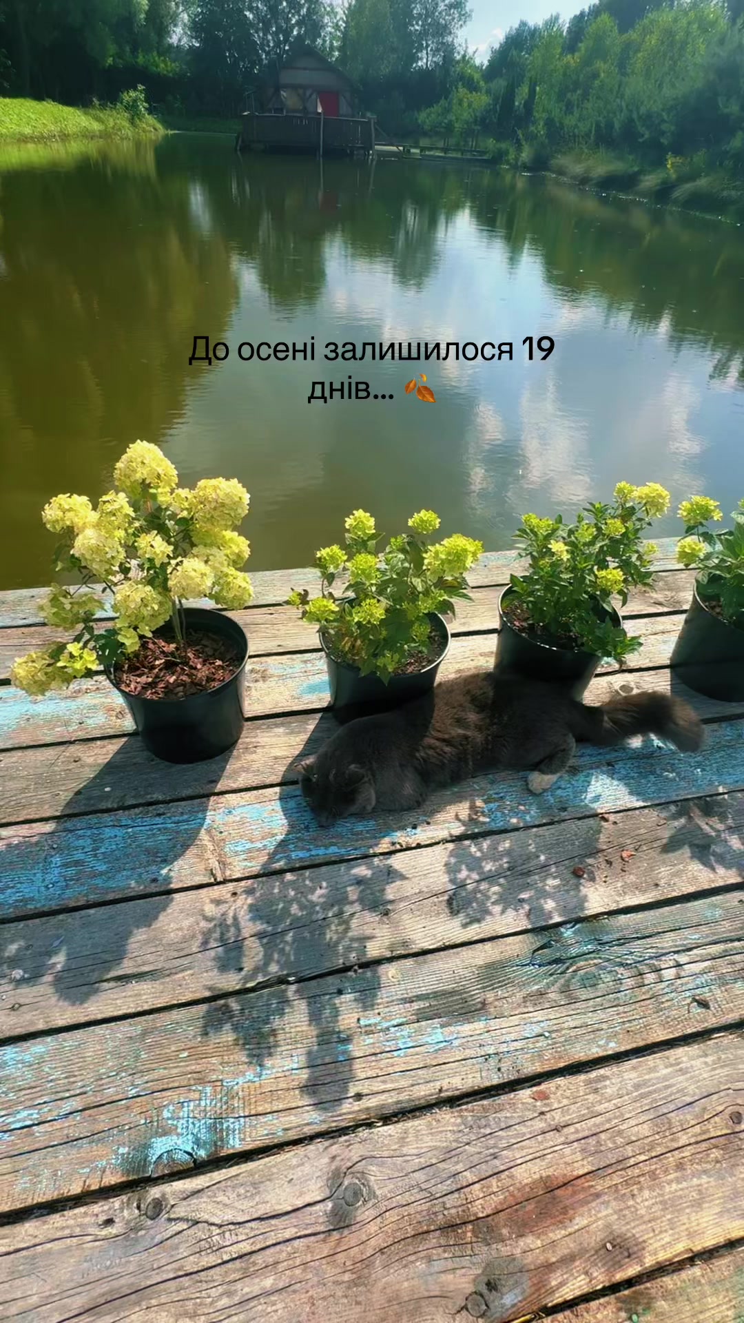 @🍒 𝓘𝓿𝓪𝓷𝓽𝓼𝓸𝓿𝓪 ♡🍒