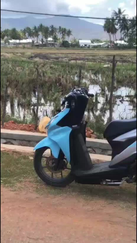 @𝗕𝗲𝗮𝘁 𝗔𝘇𝗼𝗿𝗮𝗮. 𝗩 🇻🇳