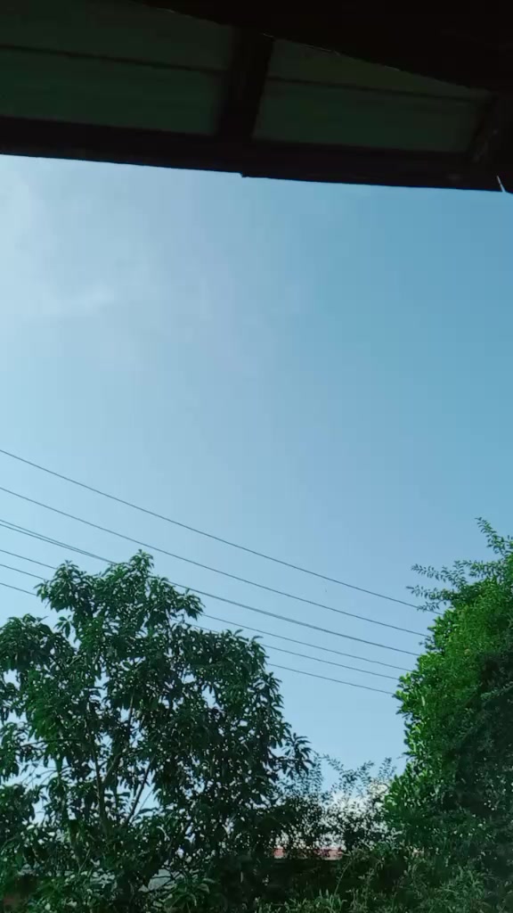@@👻林思淡🦋🇱🇹