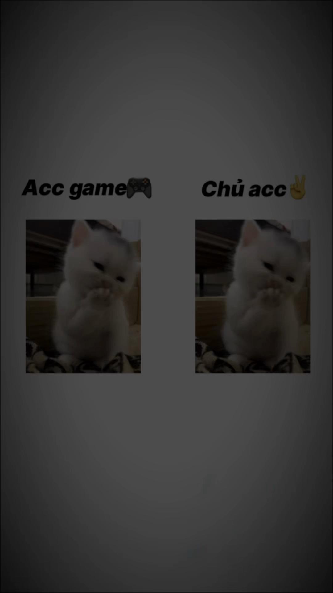 @Hạ An Vũ