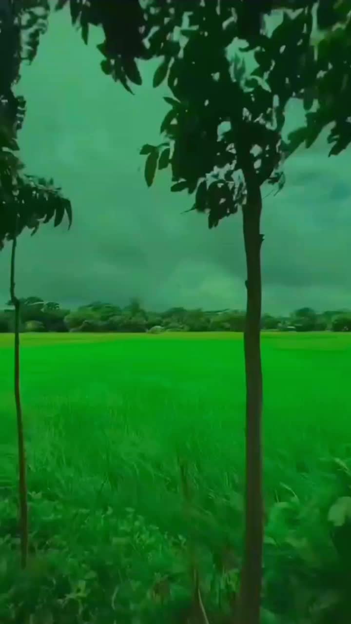 @ကိုချဥ်ပေါင်ကြော်✅Official1.3M