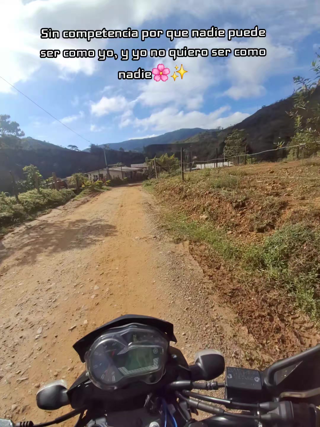 @Arango🌸