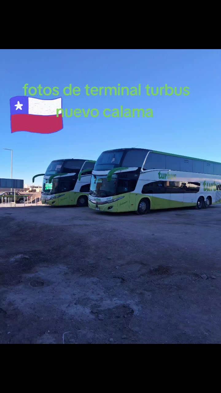 @Busología renato 😎