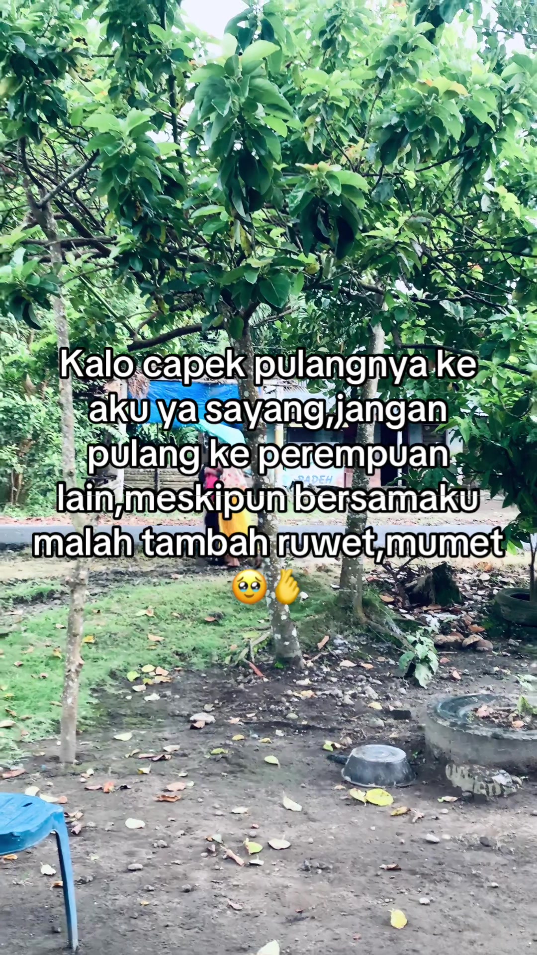 @tomato_enak