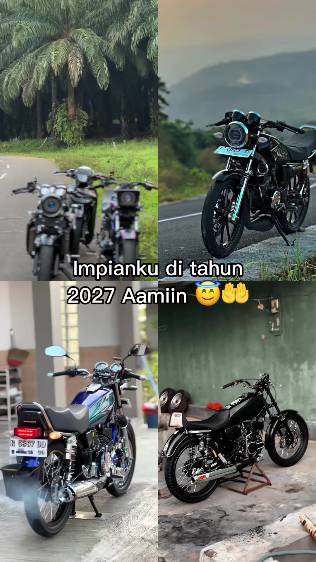 @Rxkingclub