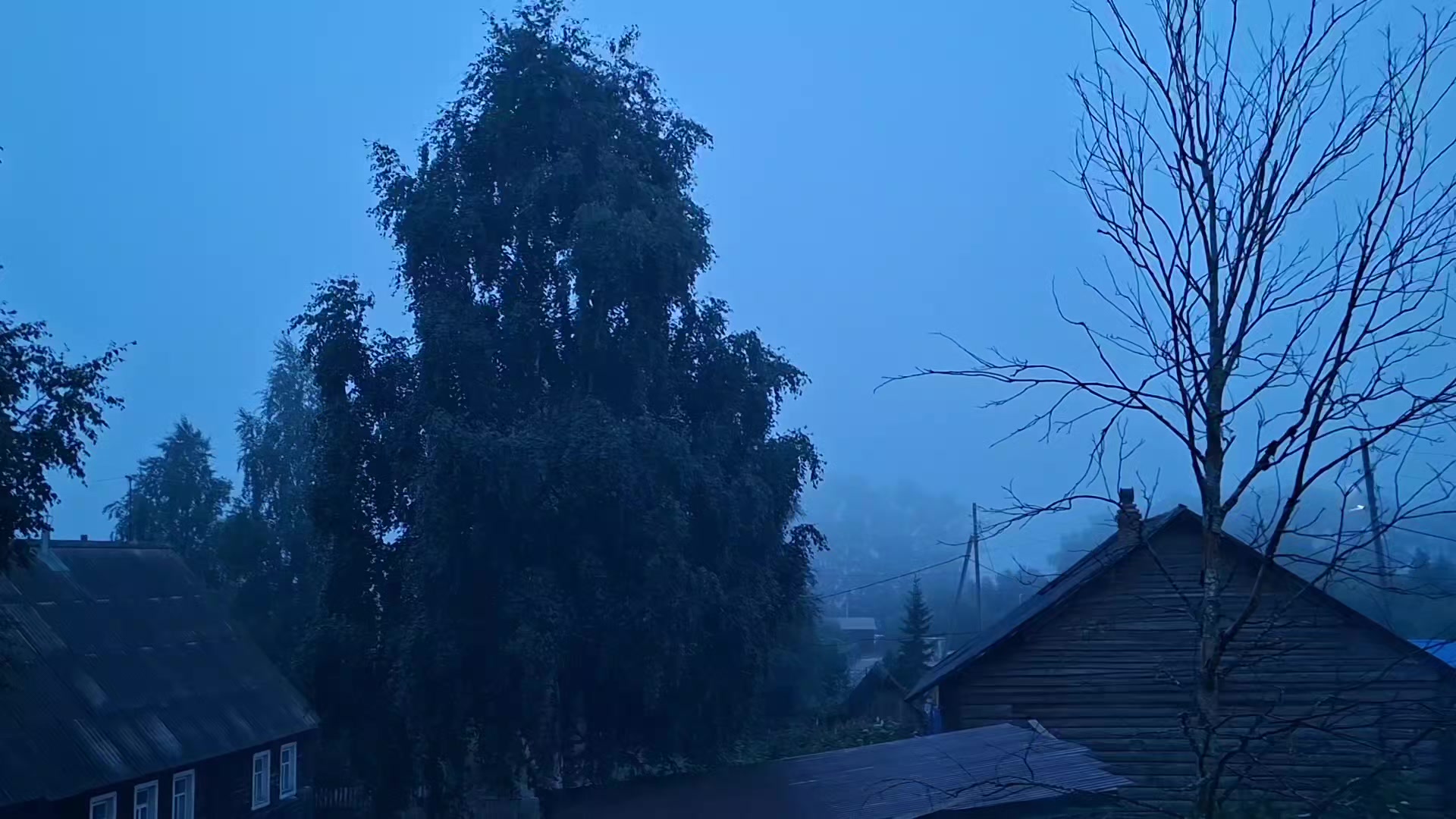 @𝘄𝗲𝗿𝘂𝗹𝗮𝘀𝗲𝗻