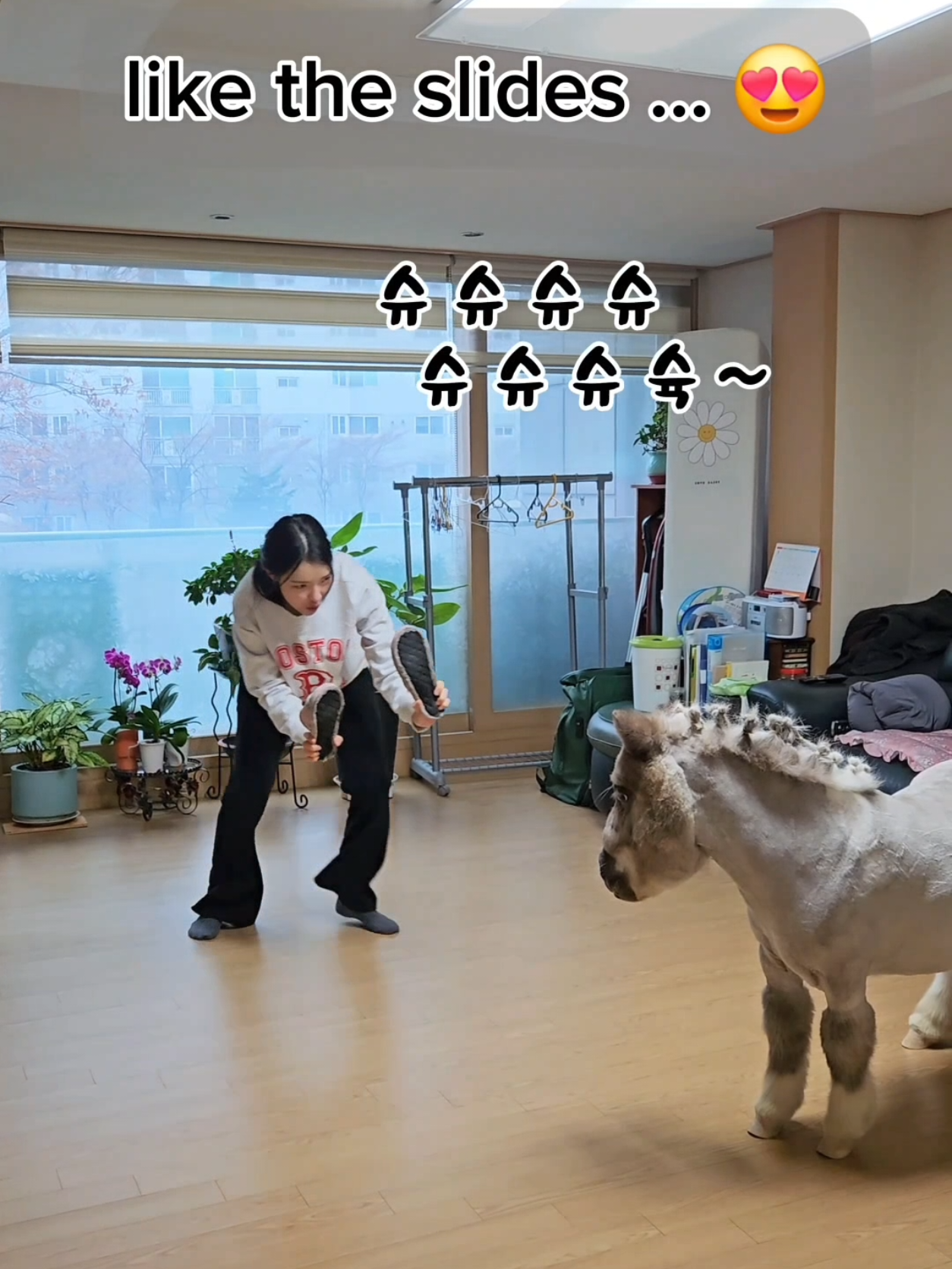@작은말월리 | 월리플랍🦄
