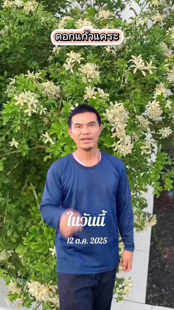 @Konloy