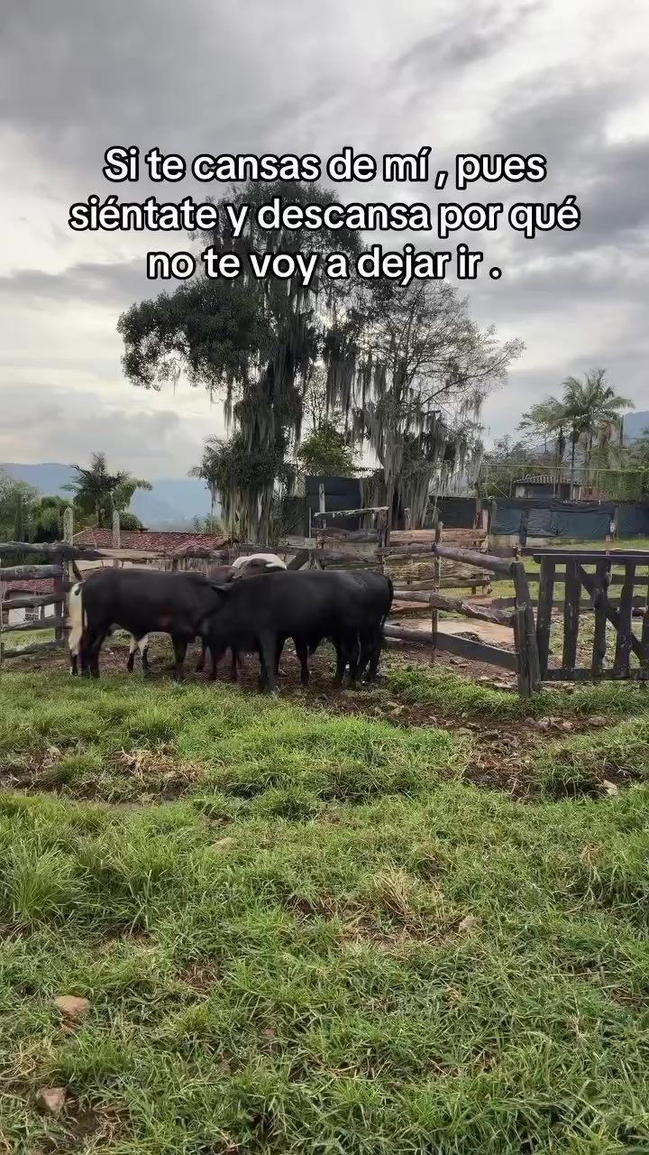 @La casa de los tiktokers