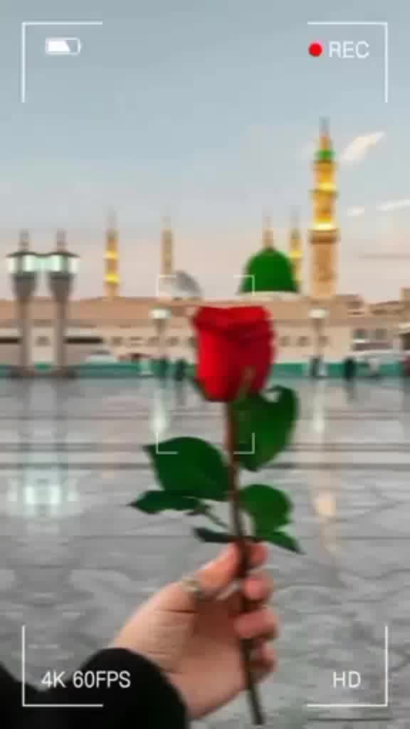 @Mehar Zada 🤗🤗💞