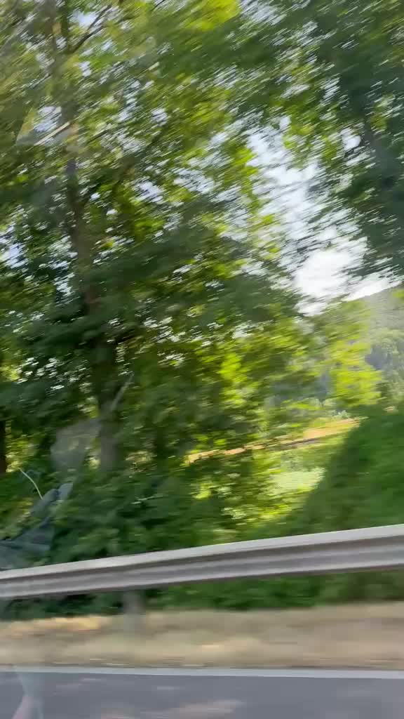 @𝑺𝒊𝒍𝒆𝒏𝒕ꨄ