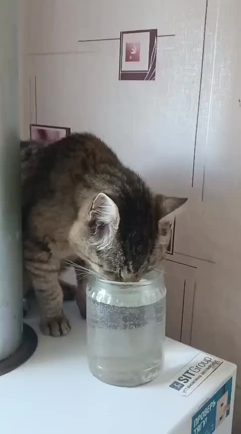 @Дима Земчихин