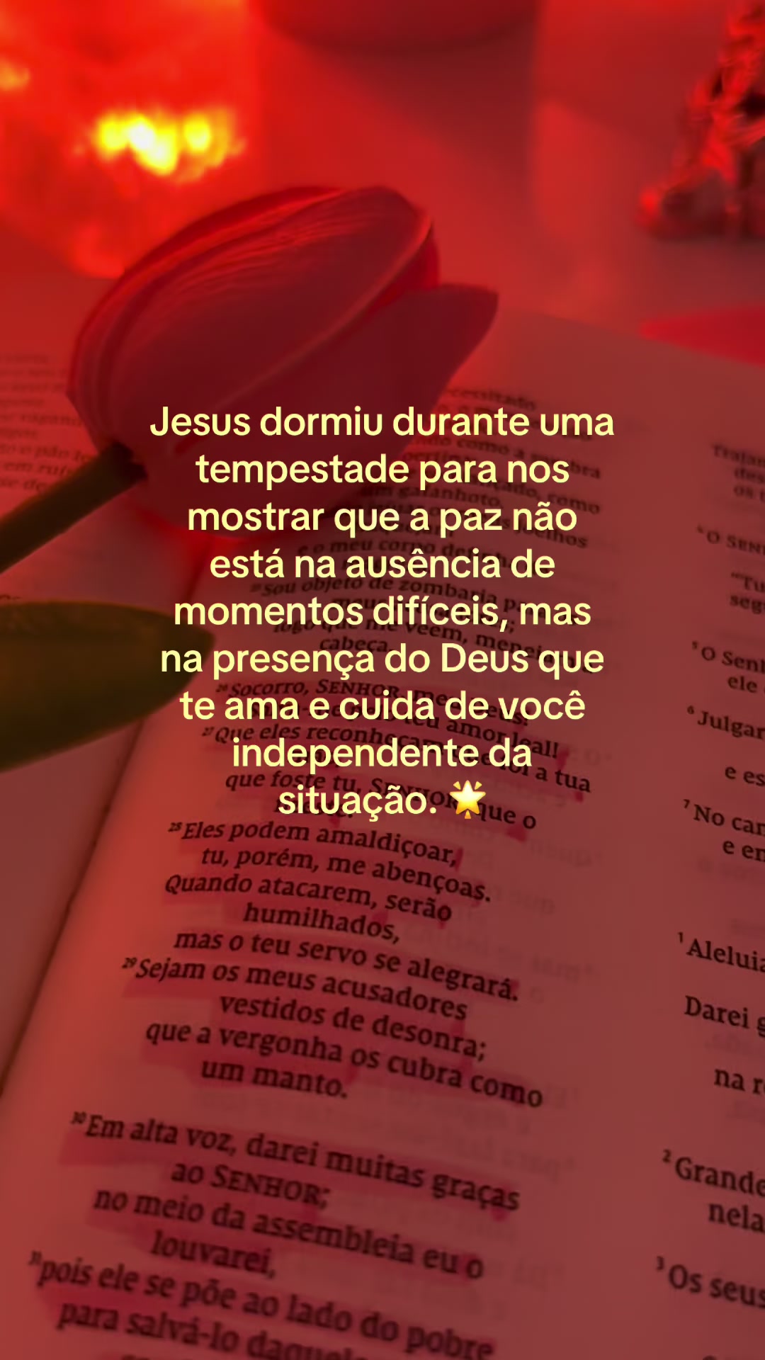 @Ilustrando Seu Amor
