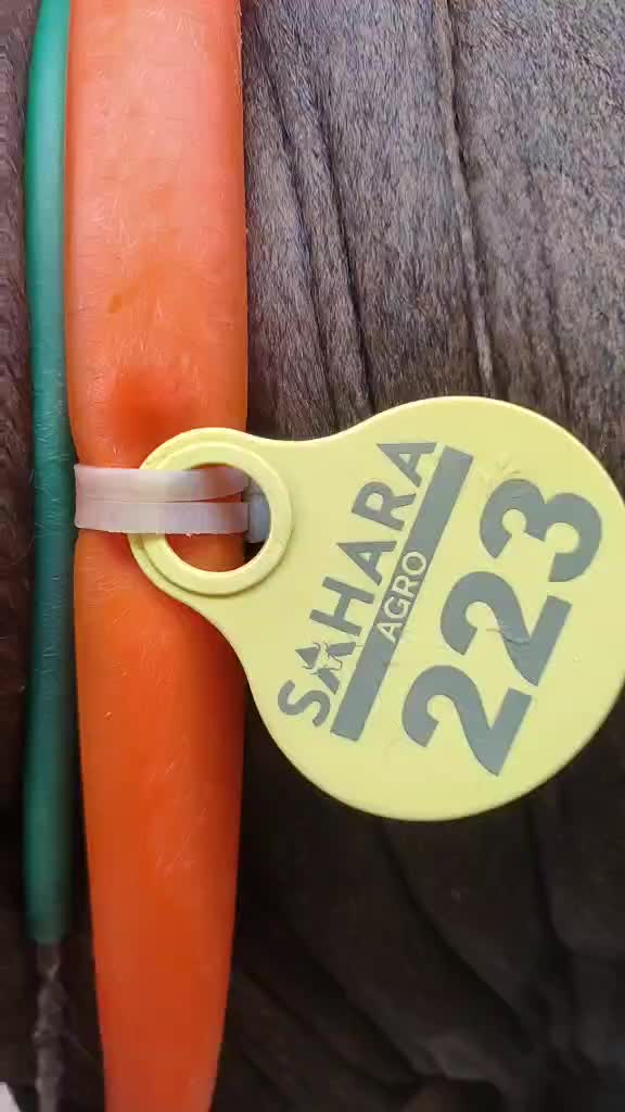 @Azan