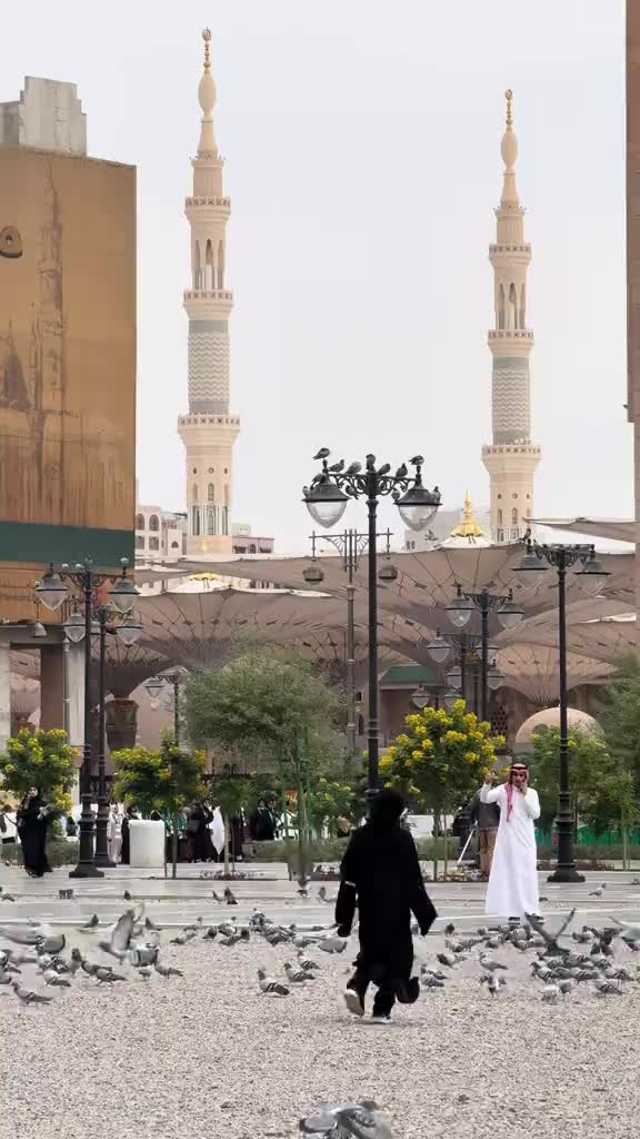 @🧿 میاں یاسر گجر 🧿