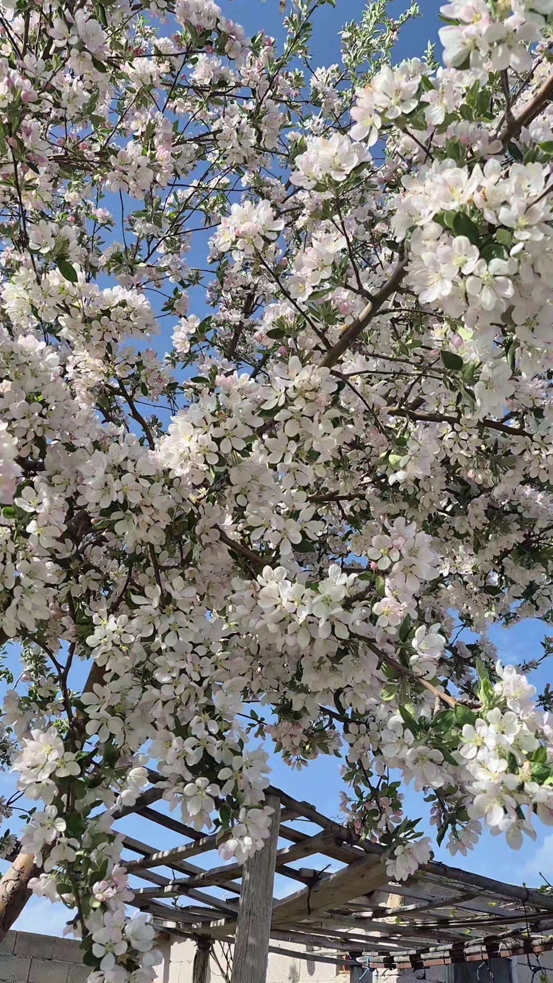 @🇹🇷Murat19051🇹🇷