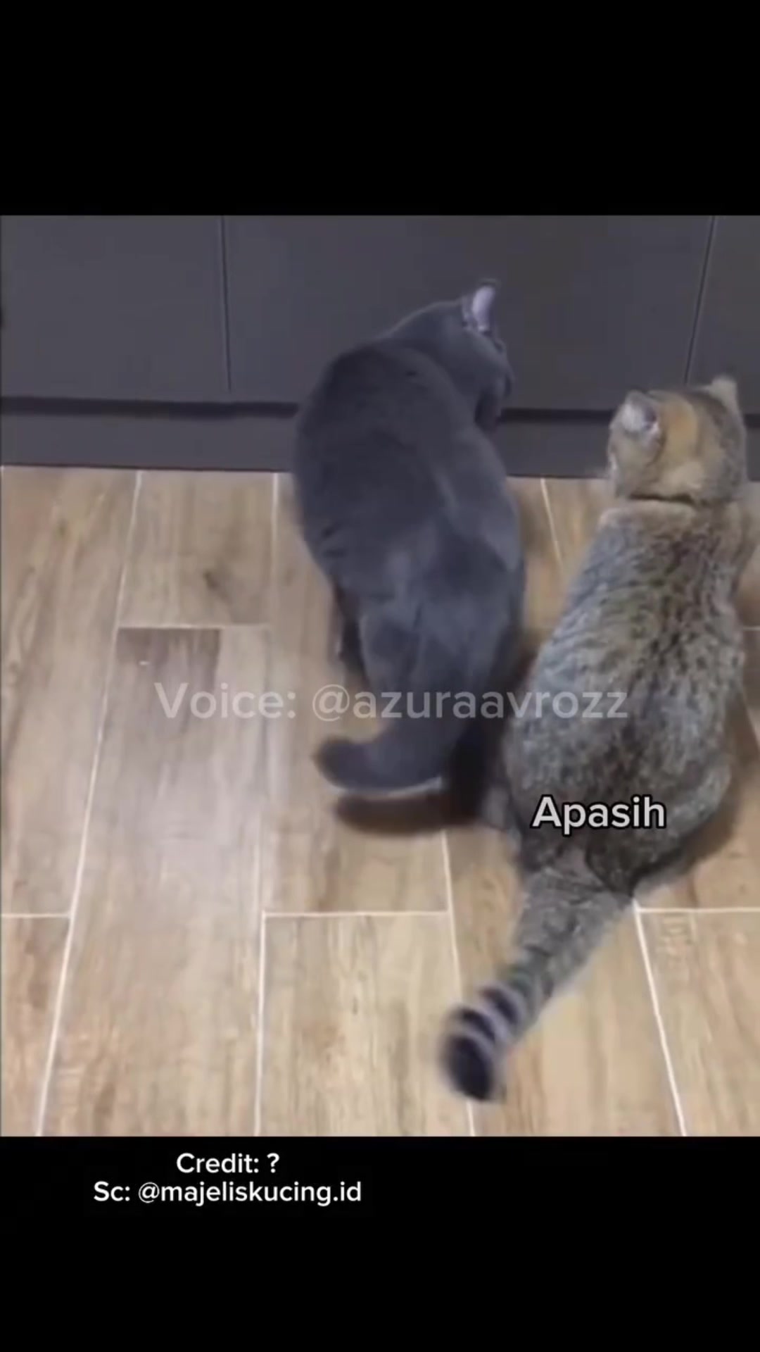 @AzuraaVrozz 侍