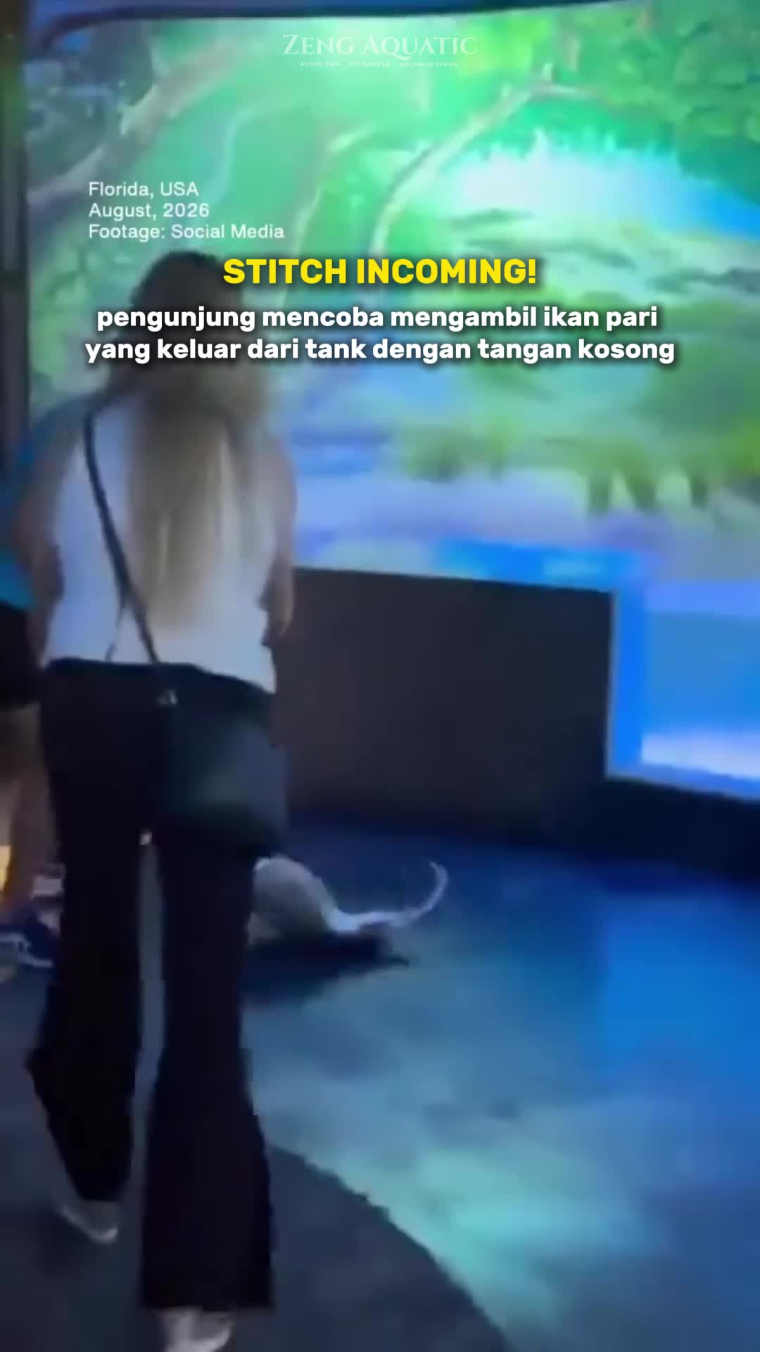 @Zeng Aquatic Indonesia