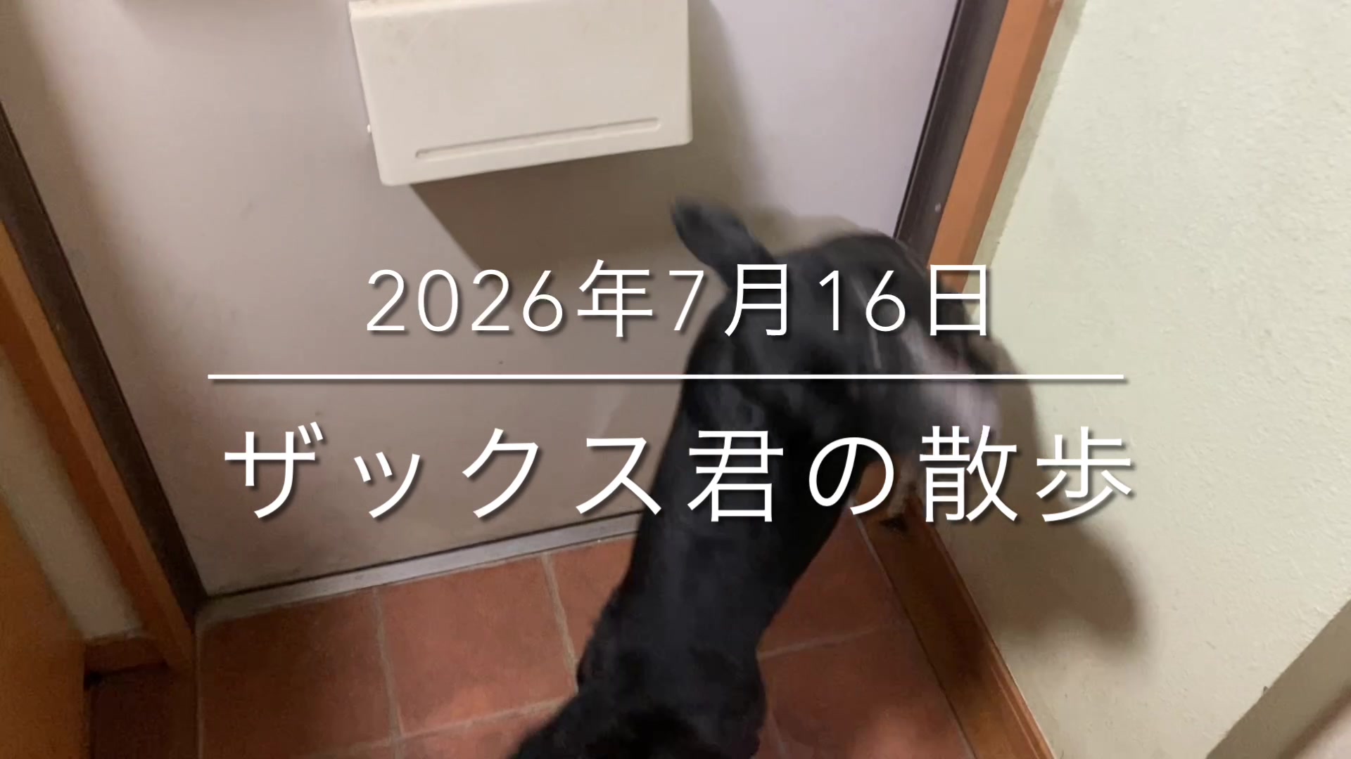 @sakihaman