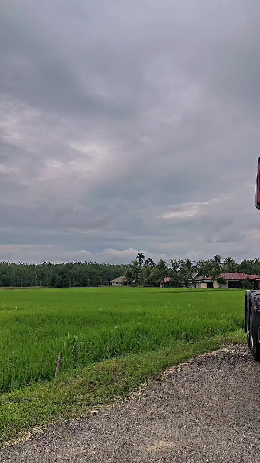 @Hirwan Effendy