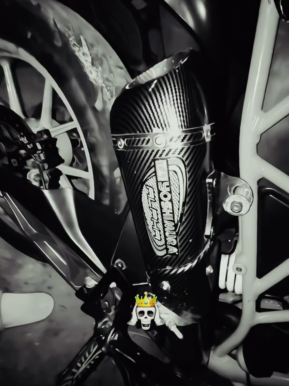 @๐ ๐ ๐ ๐ขโ ๐ฎ.๐ข