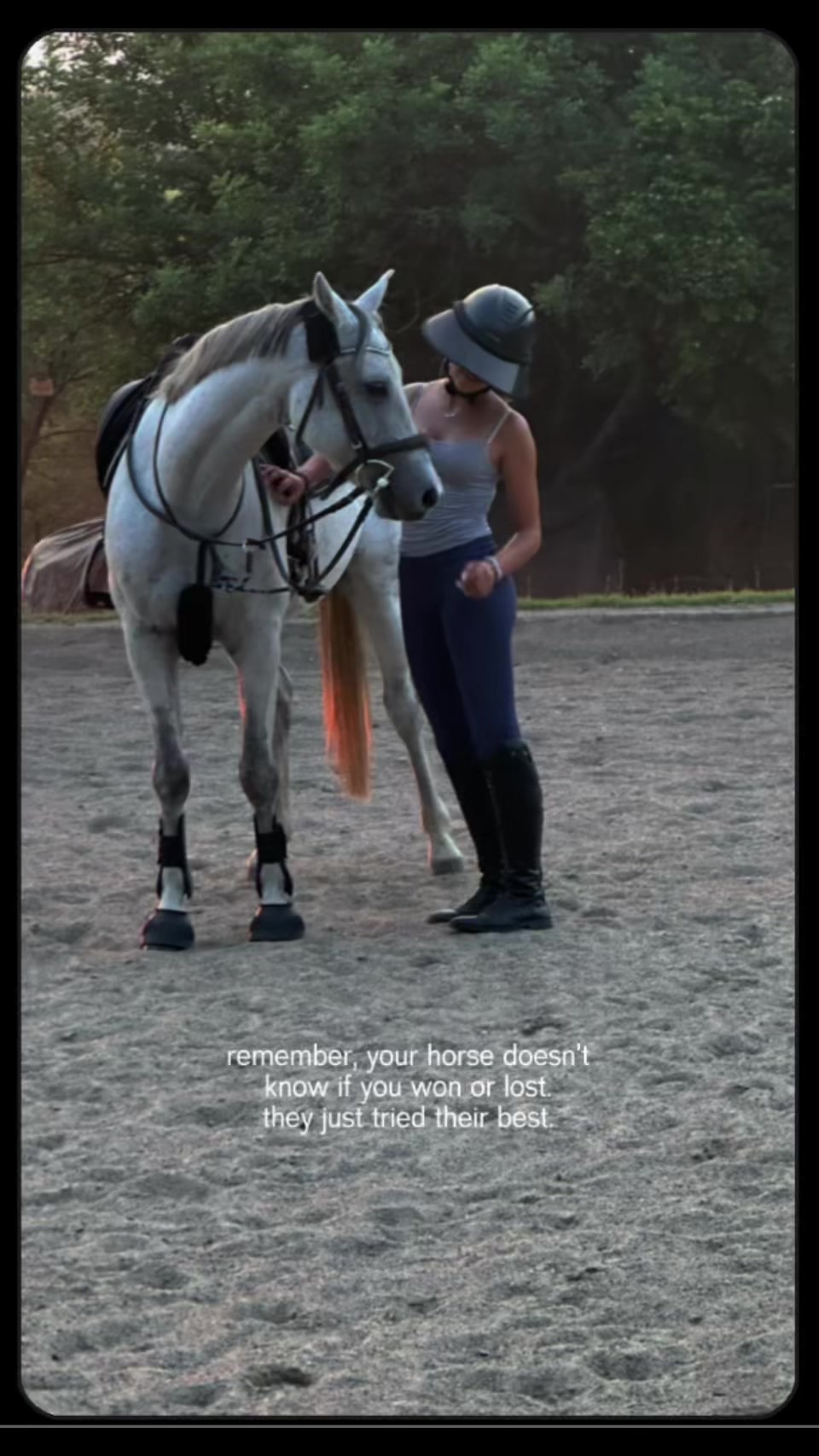 @Jay equestrian