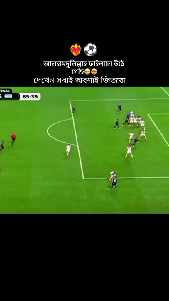 @🕊️🕊️ কবুতর প্রেমিক 🕊️🕊️