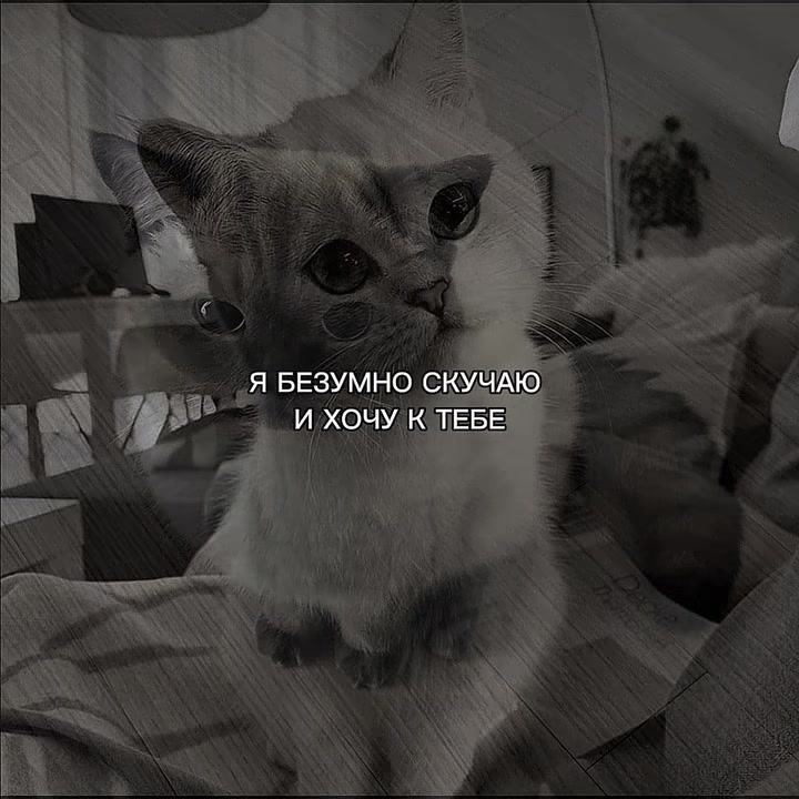 @ХХИКА