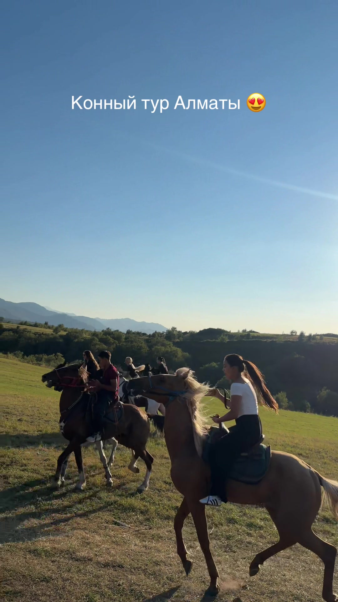 @tulpar_horses