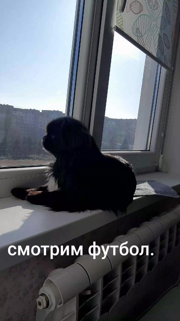 @Жужа