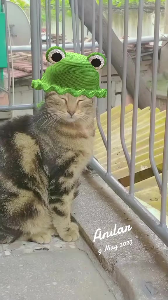 @sarı jelibon