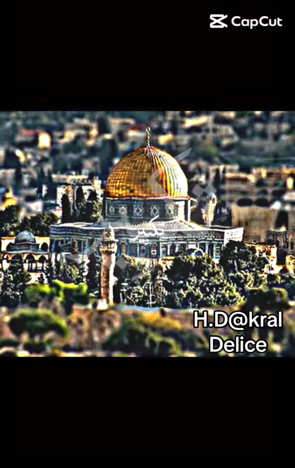 @👑kral3460Delice👑